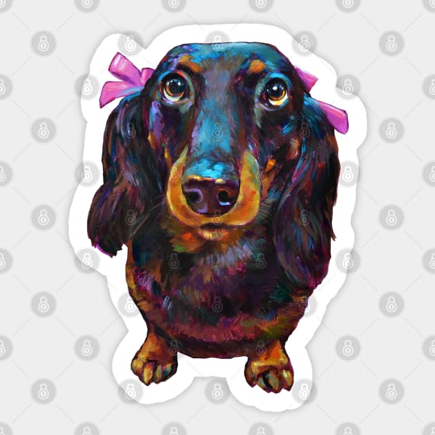 Roxy the Dachshund with her pink bow by Robert Phelps Sticker by RobertPhelpsArt